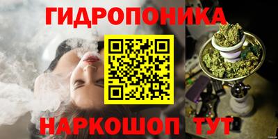 прущие крисы Нальчик