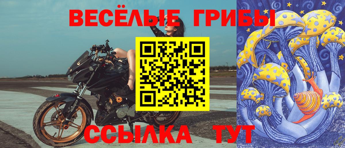 Черкесск  Псилоцибиновые грибы мухоморы  магазин  наркотиков  Псилоцибиновые грибы ЛСД  Вход с VPN 